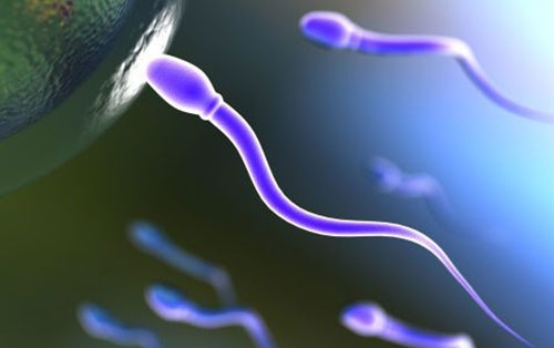 贝安健康：精子畸形是胚胎畸形导致的吗？