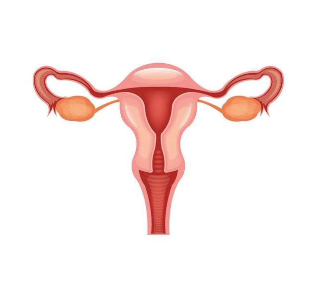 当女性备孕前去医院做检查,发现子宫发育异常,会影响到女性正常