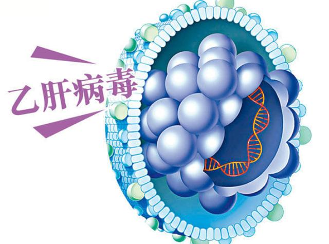 贝安健康：乙肝小三阳和乙肝大三阳哪个更严重？