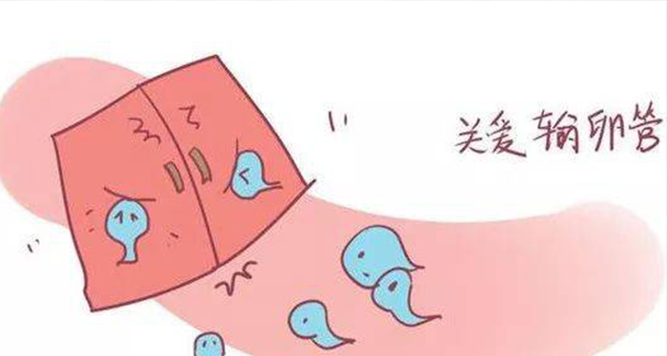 贝安健康：双侧输卵管积水有哪些危害？