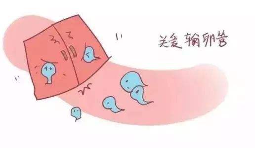贝安健康：输卵管黏连术后怎么防止再次黏连？