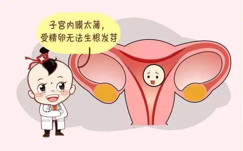 贝安健康：子宫内膜为什么会贫瘠?