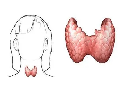 贝安健康：甲状腺结节影响怀孕吗?
