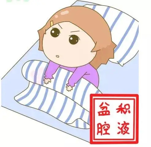 贝安健康：什么是盆腔积液？