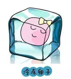 贝安健康：女性暂时没生育计划，为什么建议冻卵?