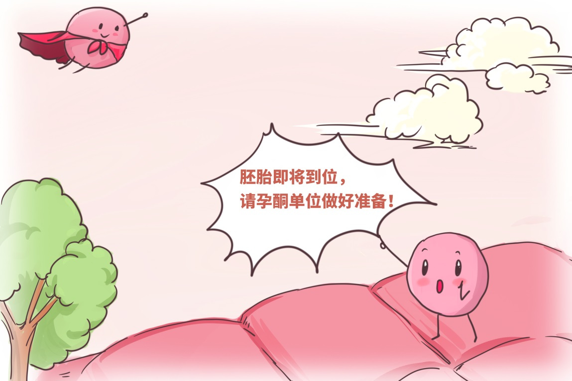 贝安健康：取消胚胎移植的原因有哪些?