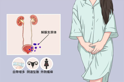 贝安健康：女性感染支原体会导致胎停育吗?